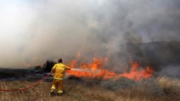 Sebulan pasca gencatan, 47 kebakaran terjadi di permukiman perbatasan Israel