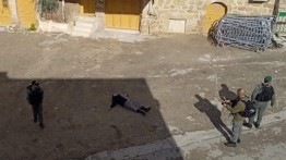 Diklaim Ingin Melakukan Aksi Penikaman, Militer Israel Eksekusi Seorang Gadis Palestina