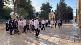 Pasca Dekrit Penutupan Yerusalem; Puluhan Pemukim Yahudi Serbu Al-Aqsa