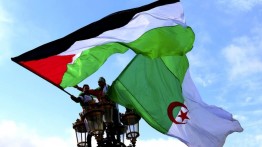 Dukung Palestina, Tim Sepakbola Aljazair Tolak Bertanding Dengan Israel