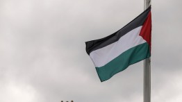 Palestina: Ketakutan Sejumlah Negara Dituduh anti-Semitisme Dorong Israel Tingkatkan Agresi