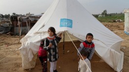 UNRWA akan Salurkan Bantuan Keuangan Darurat kepada Pengungsi Gaza di Yordania