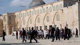 Wakaf Palestina: 29 ribu warga Yahudi Israel tercatat kunjungi Masjid Al-Aqsa sejak awal 2019