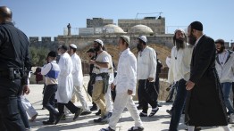 Pemukim Israel Lakukan Tarian Provokatif Dekat Al-Aqsha pada Hari Sukkot Yahudi