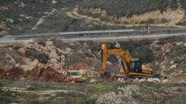 Pemukim Israel Tebang 600 Pohon Palestina yang Sedang Berbuah di Nablus