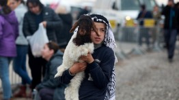 Israel Halangi Penjualan Hewan Kurban di Lembah Yordania