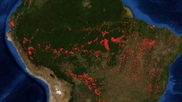 Kebakaran hutan Amazon mengancam paru-paru dunia 