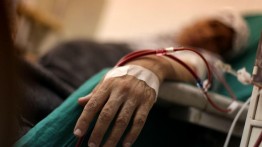 Tahap akhir prgram transplantasi ginjal Inggris-Gaza dimulai