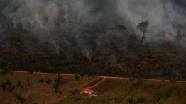 Brasil pertimbangkan tawaran Israel untuk padamkan kebakaran Amazon
