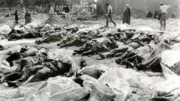 Mengenang 65 Tahun Pembantaian Qalqilya yang Dilakukan Zionis Israel