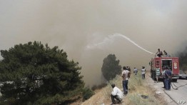 Kebakaran Hutan di Lebanon Meluas Hingga ke Suriah Melewati Perbatasan