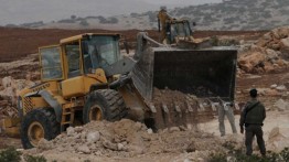 Israel Rusak Lahan Pertanian dan Hancurkan Pohon Zaitun Palestina di Betlehem