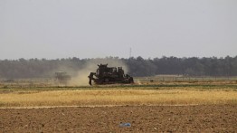 Menyusup ke Gaza, Militer Israel Hancurkan Lahan Pertanian Warga