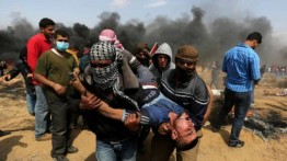 OCHA: Israel bunuh 295 warga Palestina dan cederai 29 ribu lainnya selama 2018