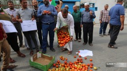 Petani Palestina Protes Larangan Ekspor Tomat yang Diterapkan Israel