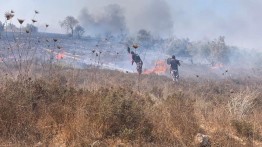 Israel Berencana Merebut 700 Dunam Tanah Palestina di Nablus