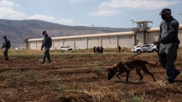 Cegah Tahanan Palestina Kabur, Israel Bentengi Penjara Gilboa dengan Tembok Bawah Tanah