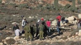 Pasukan Israel Intimidasi Acara Pengolahan Tanah di Masafer Yatta