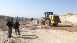 Israel Hancurkan Lahan dan 120 Pohon Palestina yang Sedang Berbuah di Hebron