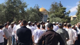 Puluhan Yahudi Ekstrem Kunjungi Al-Aqsa