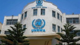Israel Bunuh 162 Karyawan UNRWA di Jalur Gaza