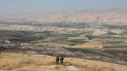 Yordania Keluhkan Babi Israel Yang Merusak Lahan Pertanian di Perbatasan