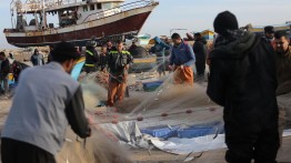 LSM Mendesak Israel untuk Hentikan Serangan terhadap Nelayan Palestina