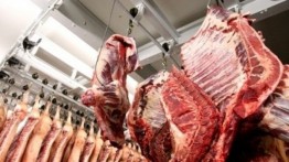 Kementerian Waqaf Palestina mulai mendistribusikan daging kiriman Arab Saudi untuk Gaza