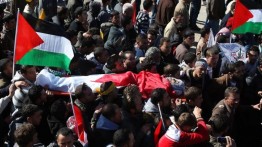 Laporan November, Israel eksekusi 43 warga sipil Palestina