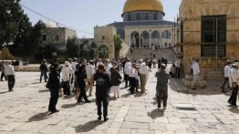 Selama Juli, Israel Tangkap 188 Penduduk Palestina dan Berbagai Pelanggaran Lainnya di Yerusalem