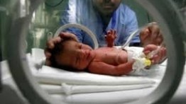 Dalam bulan November, 4173 bayi dilahirkan di Jalur Gaza