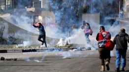 Puluhan Warga Palestina Cedera dalam Bentrokan di Desa Beit Dajan 