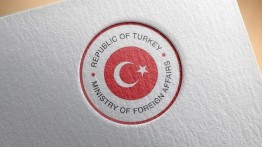 Puji Langkah ICC, Turki Desak Penyelidikan atas Kejahatan Perang Israel di Palestina