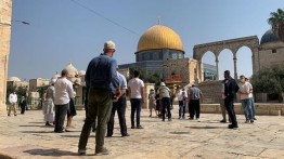Abaikan Perang, Puluhan Yahudi Lakukan Kunjungan Provokatif ke Masjid Al-Aqsa
