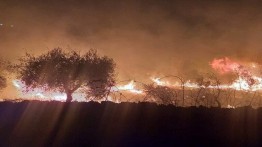 Kebakaran Hebat Kembali Landa Suriah, Rusia Kirim Bantuan