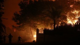 Kebakaran besar di Lebanon, 105 wilayah dilahap api