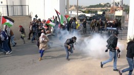 Israel Serang Peserta Acara Penanaman Pohon di Hebron