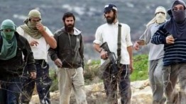 Gerombolan Pemukim Israel Curi Rumah Palestina di Betlehem