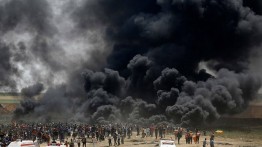 Lembaga HAM Palestina dan Israel tuntut Mahkamah cegah IDF menembaki demonstran Palestina