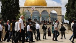 Palestina: Pelanggaran Rutin Al-Aqsha adalah Pengabaian Nyata Tuntutan Internasional