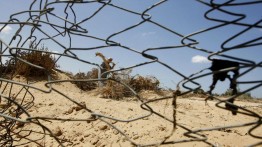 Israel membatasi petani Tepi Barat mengakses lahan pertanian mereka