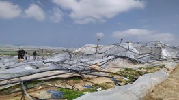 Kementerian Pertanian Palestina Keluarkan Peringatan Bencana Ekologi di Jalur Gaza Utara