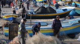 Industri Perikanan Gaza Merosot 50% Akibat Serangan Israel