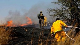Media Israel Laporkan 42 Kebakaran Akibat Balon Pembakar dari Gaza