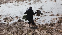 Israel Buka Pintu Bendungan, Lahan Pertanian di Gaza Timur Banjir