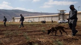 Israel Perpanjang Blokade Tepi Barat Demi Mencari 6 Narapidana Palestina yang Kabur