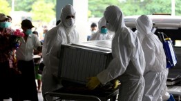 Flu babi melanda Myanmar, 54 dinyatakan meninggal