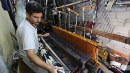 Penenun Wol Jalur Gaza Melawan Kepunahan
