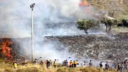 Warga Yahudi Membakar Lahan Pertanian di Selatan Nablus