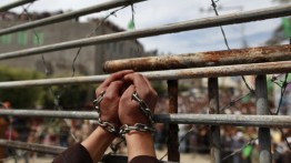 Dipenjara Tanpa Dakwaan, 11 Tahanan Palestina Mogok Makan di Penjara Israel
